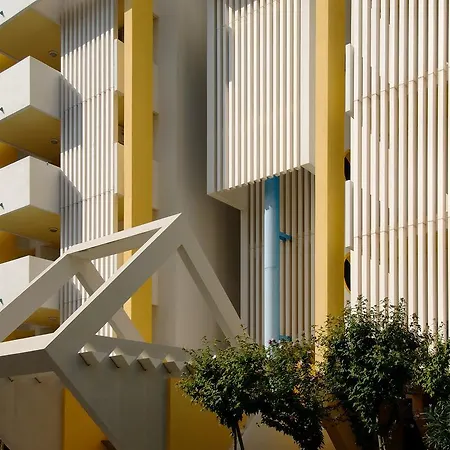 Hibiscus * بيبيوني