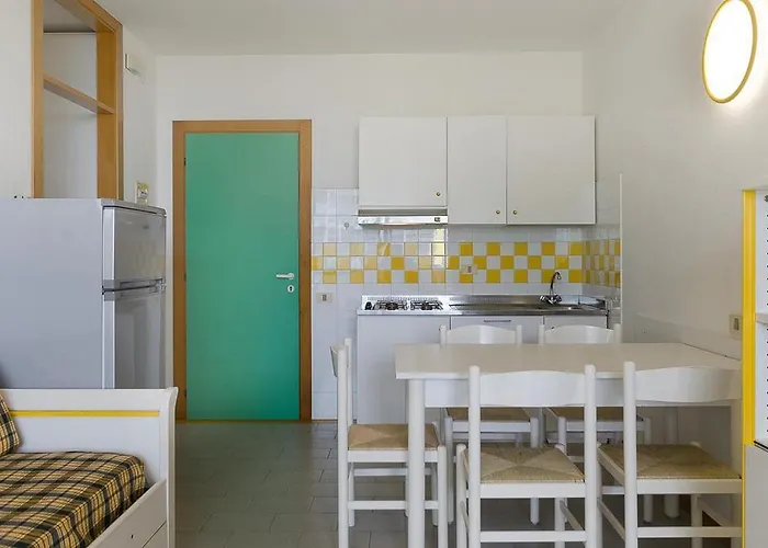 Hibiscus بيبيوني