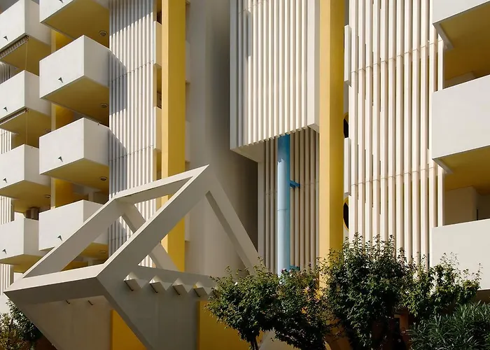 Hibiscus * بيبيوني